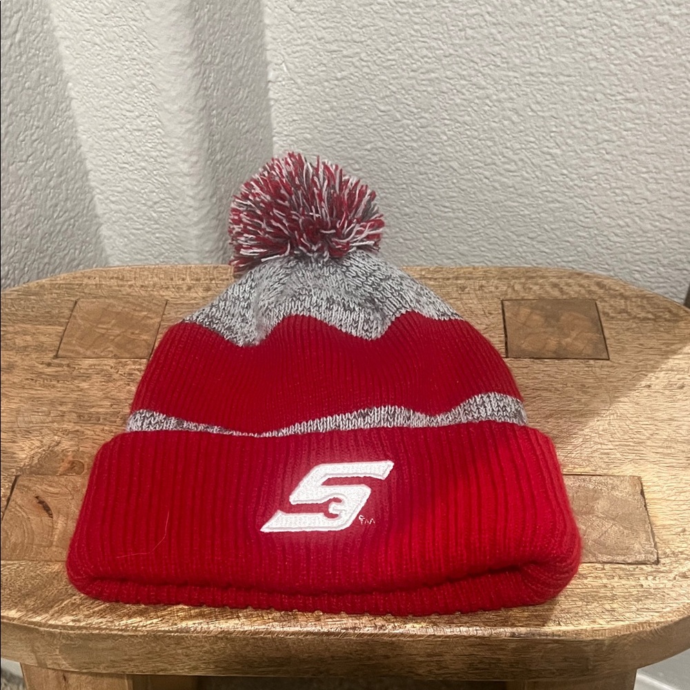 Red and Gray Pom-Pom Beanie